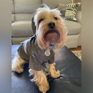 LIKE NEW DOGGY RAIN COAT
